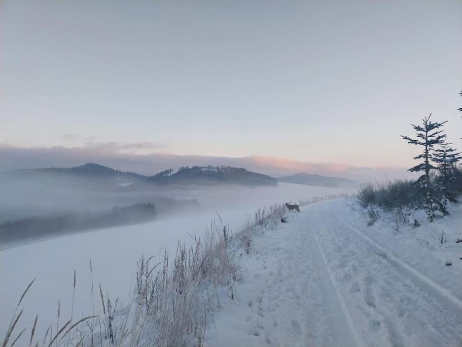 Haus Julia Direkt Am Hennesee Mitten Im Sauerland Мешеде Екстер'єр фото